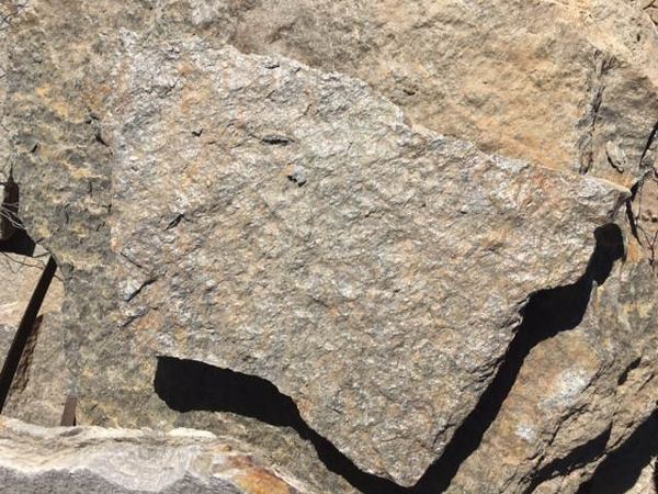 Grey quartzite - flagstone in Franktown, CO Grey quartzite - flagstone in Franktown, CO