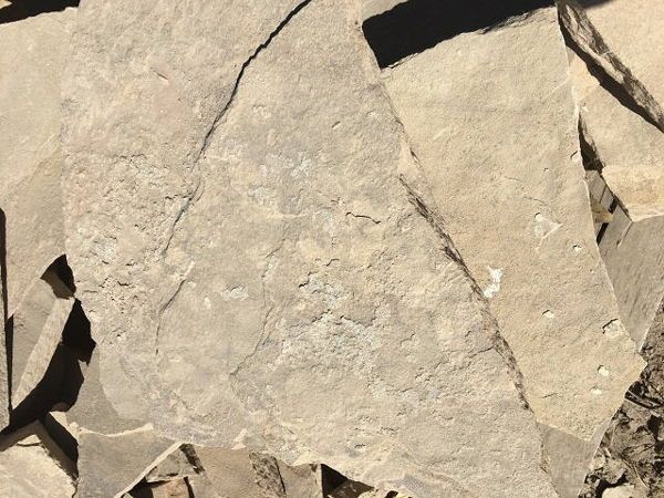 - flagstone in Franktown, CO - flagstone in Franktown, CO