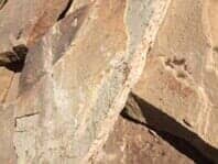 Flagstone - landscape materials in Franktown, CO