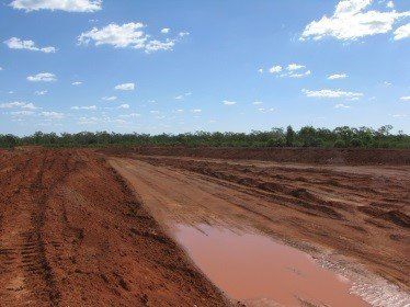 field with small water