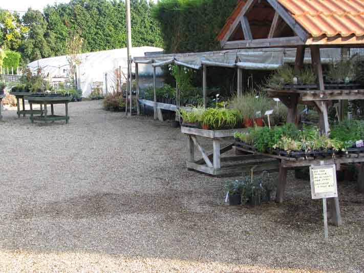 View from the nursery's entryway
