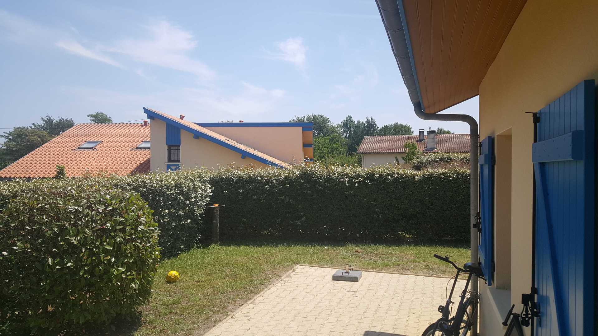 Tuin