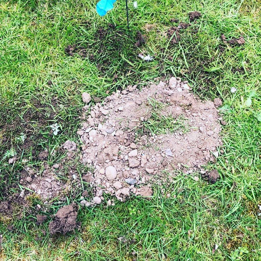 Mole Hill