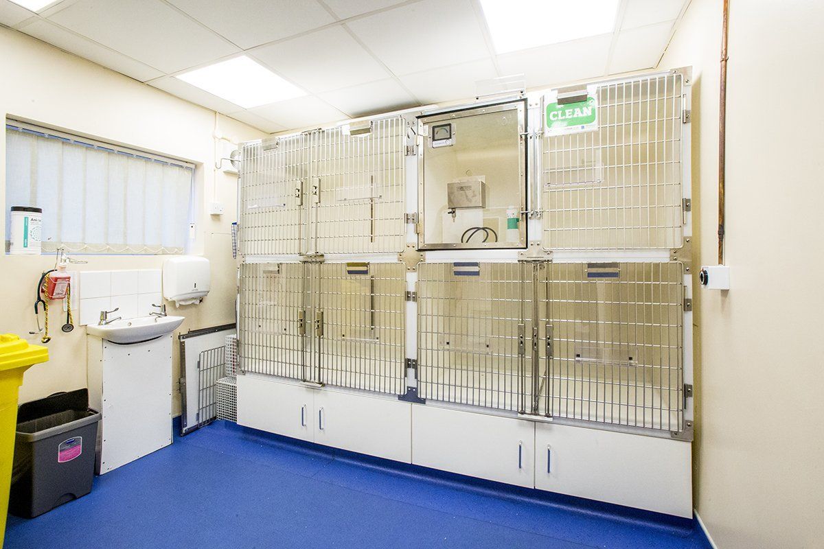 pet sheds