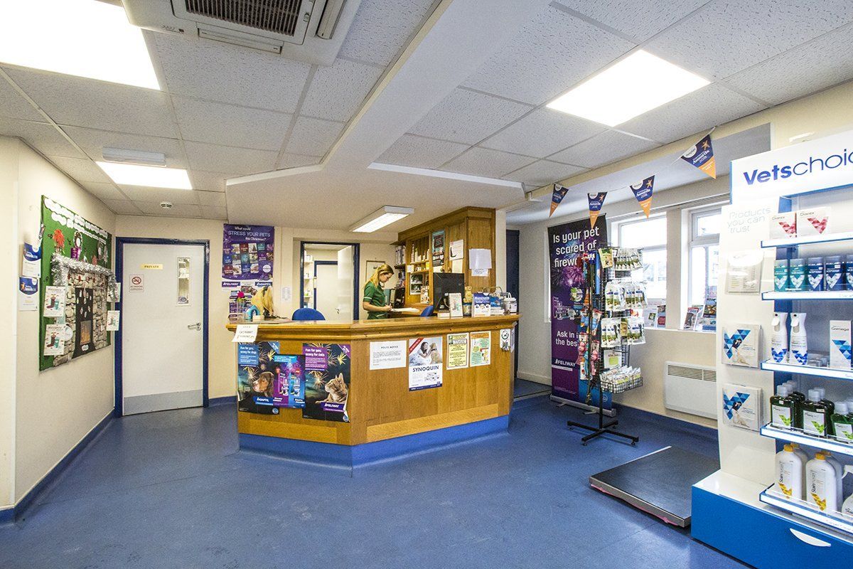 the clinic