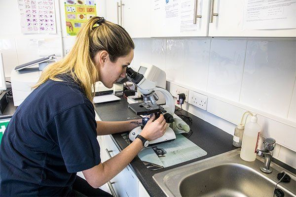 a nurse checking a microscope