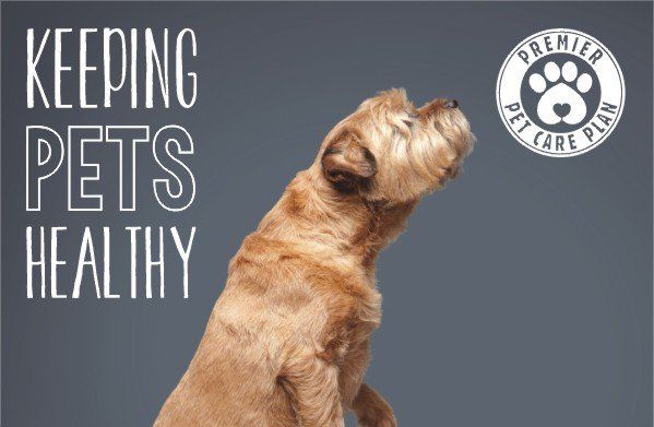 Keeping pets healthy