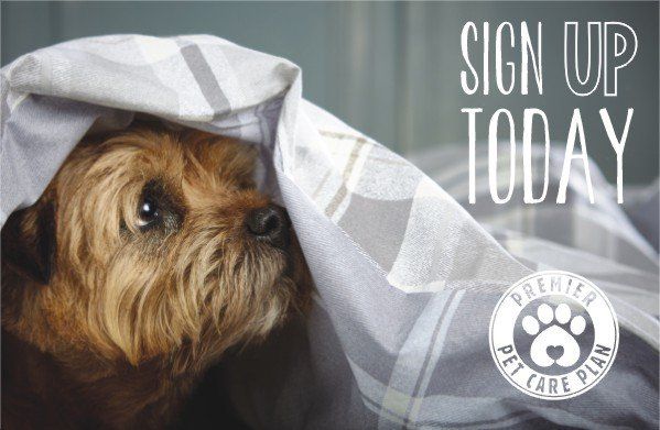 Sign up today