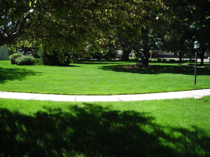 Cedar Wood Condo Lawn Area