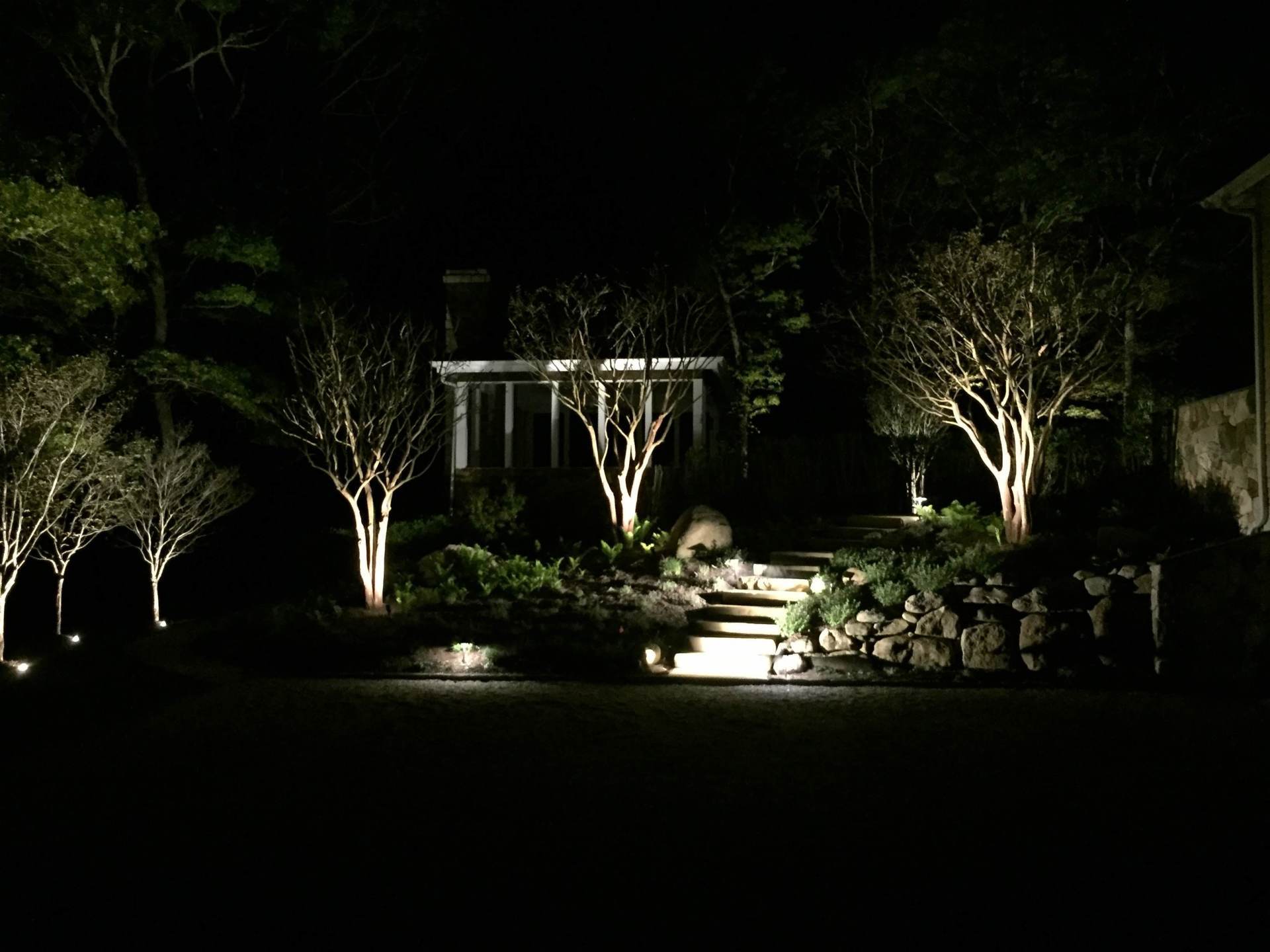 The trees are lit up at night in front of a house.