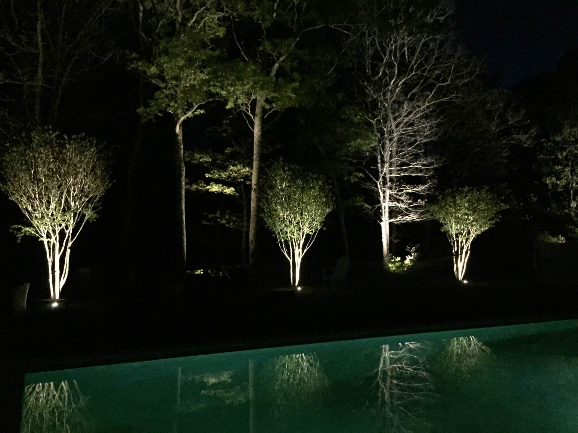 A swimming pool is lit up at night with trees in the background.