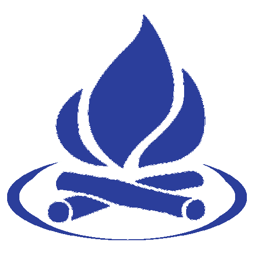 Blue flame logo with a circular ring and stylized logs at the base