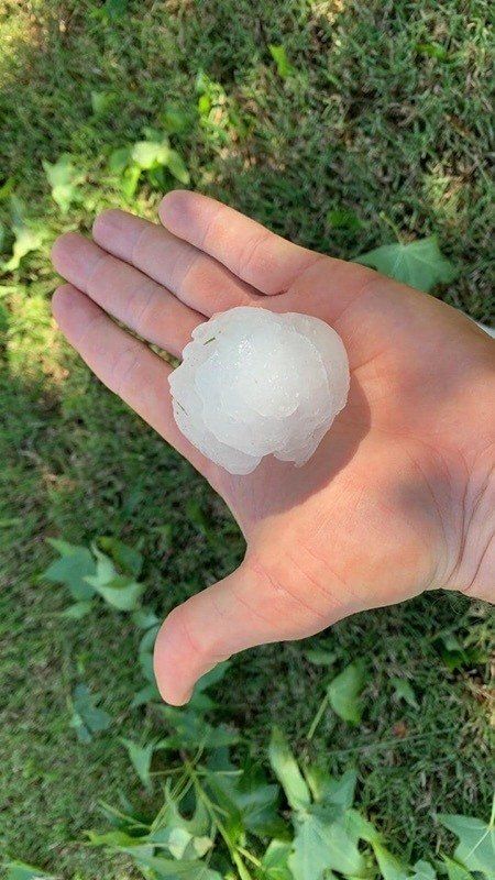 a person holding a piece of hail in their hand .
