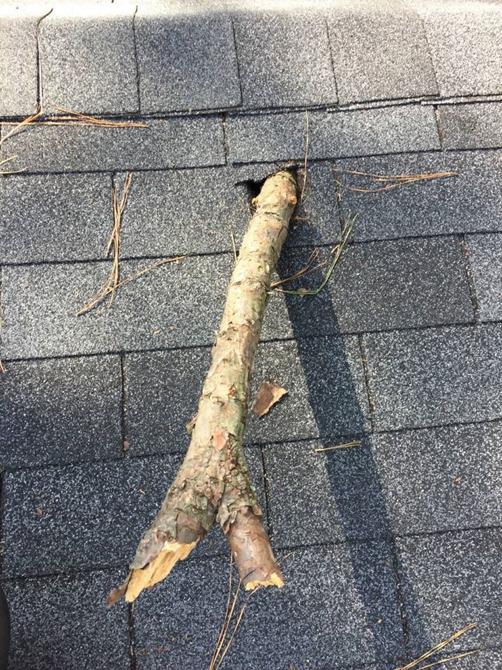 a tree branch is sticking out of a hole in a roof .