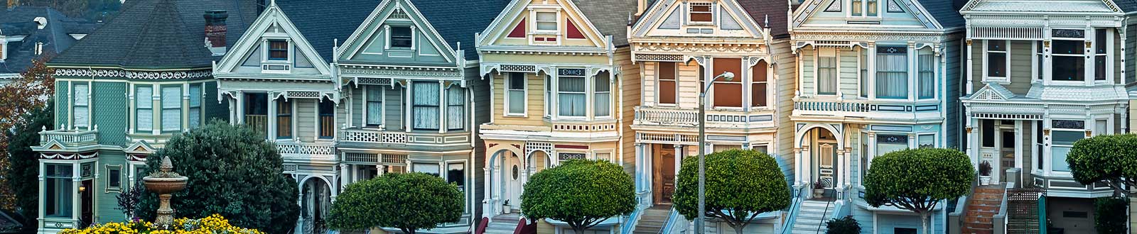 painted ladies