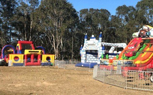 Large Inflatable Ride For Hire