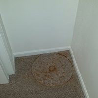 Floor Restoration