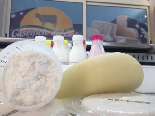 yogurt e ricotta fresca
