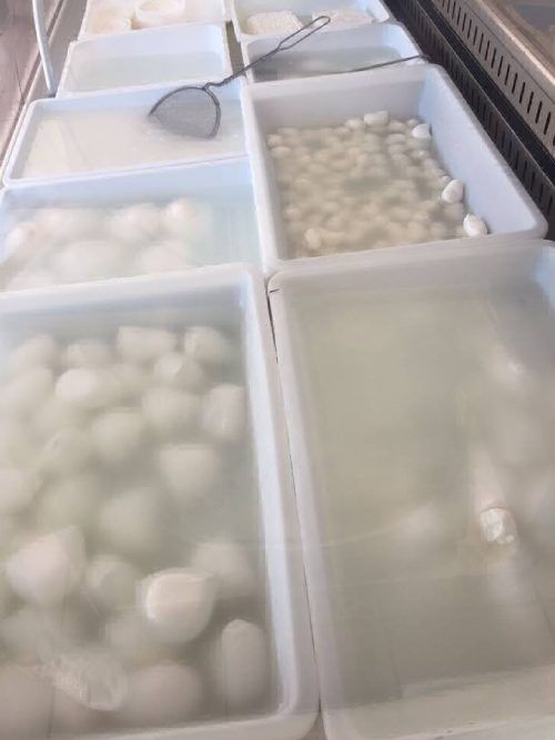 ricotta fresca