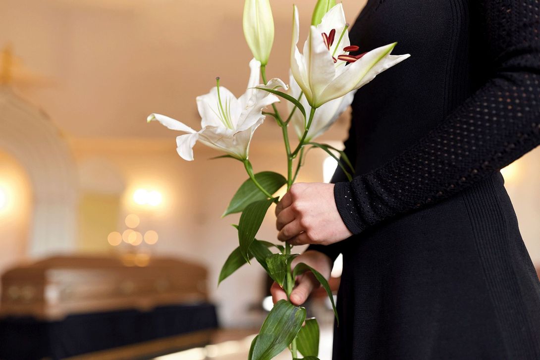 fiori bianchi