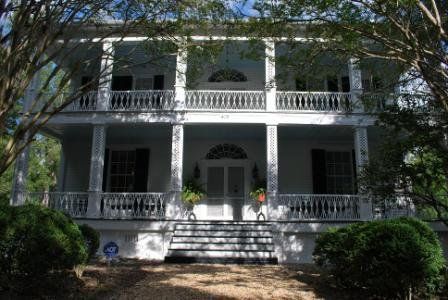 Halcyon Grove