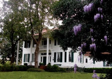 Magnolia Dale