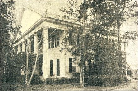 Pine House