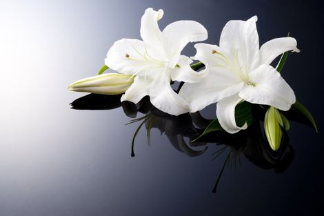 Fiori