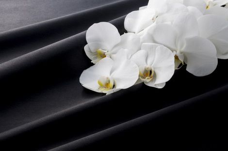 Fiori per funerali