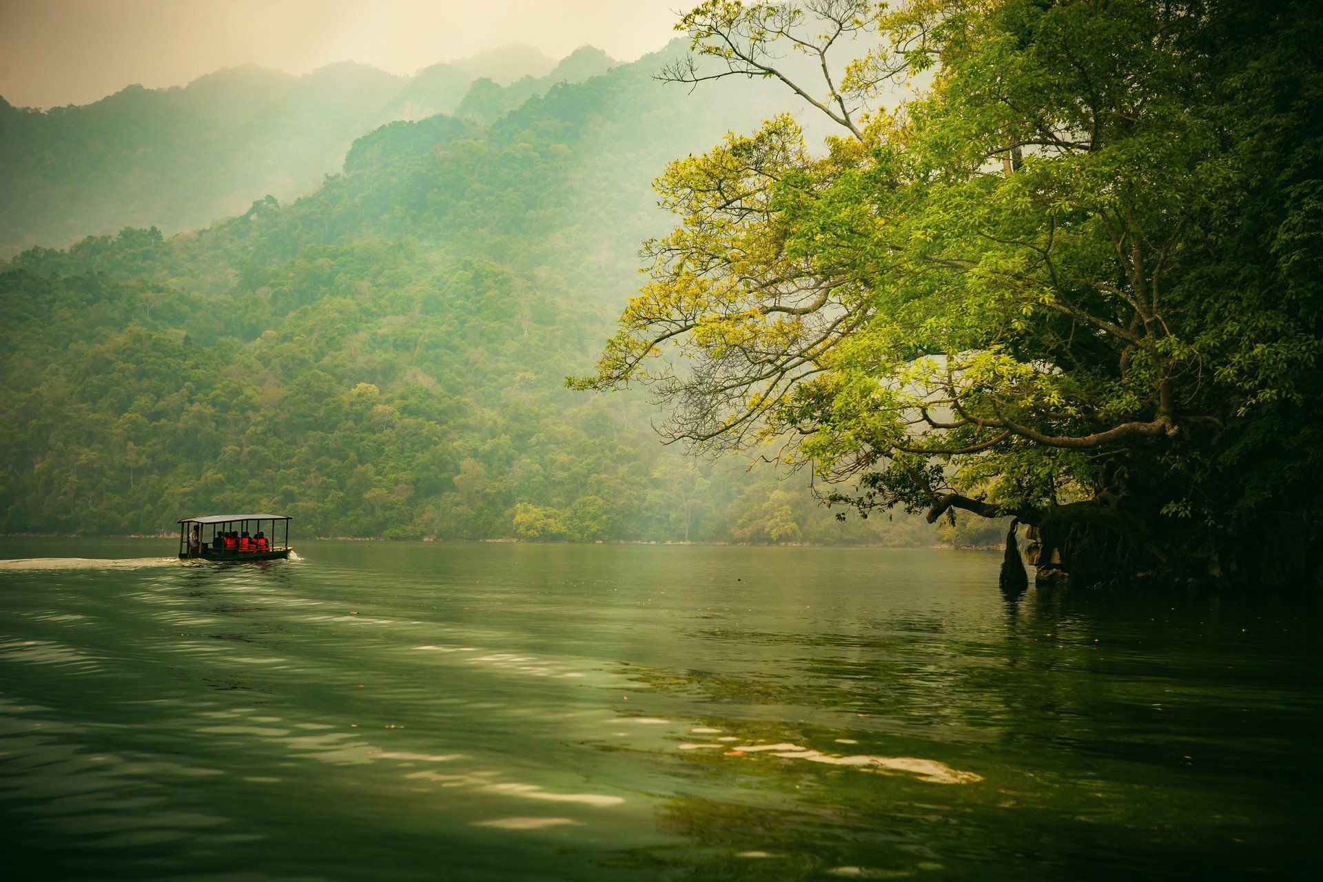 A boat is floating on a lake surrounded by trees.