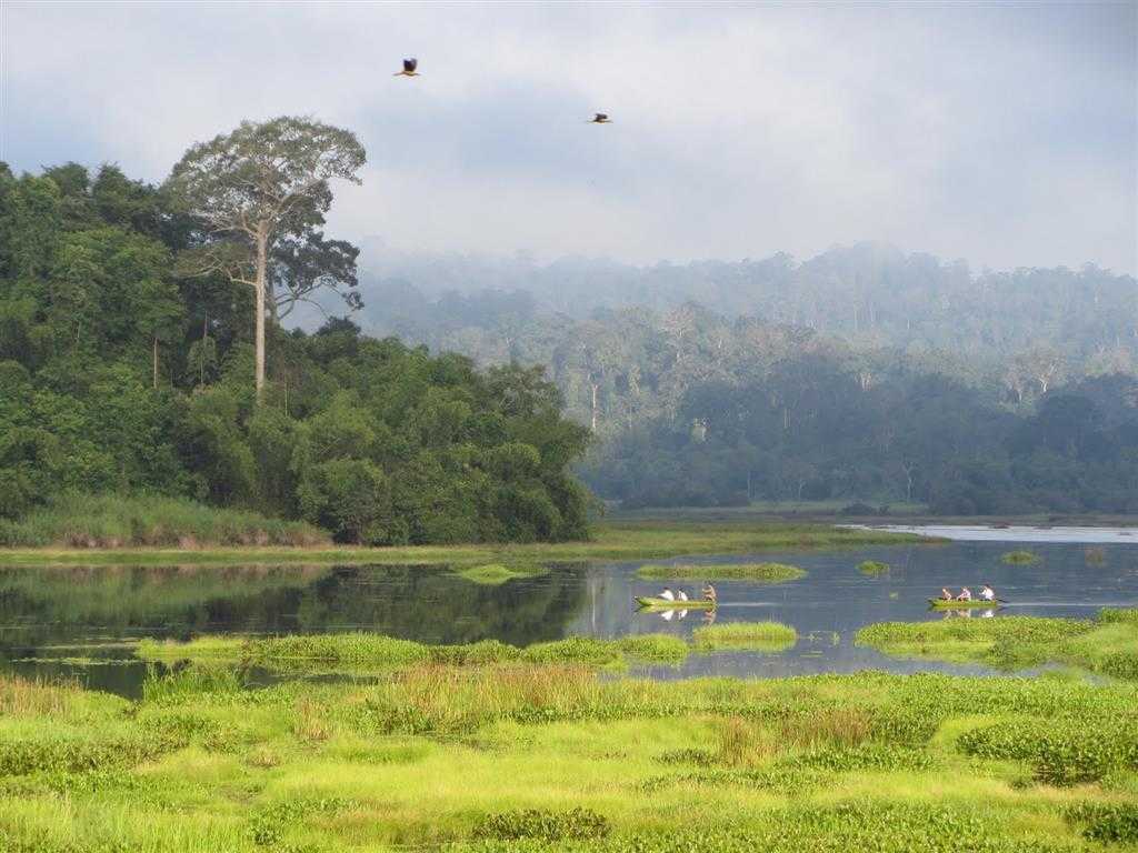 Birds are flying over a lake surrounded by trees