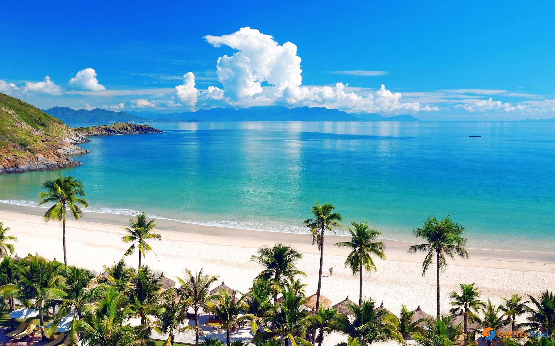 An aerial view of a tropical beach with palm trees and a blue ocean.