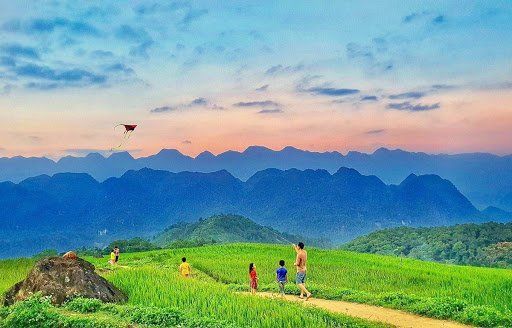 A group of people are flying a kite in a field with mountains in the background.