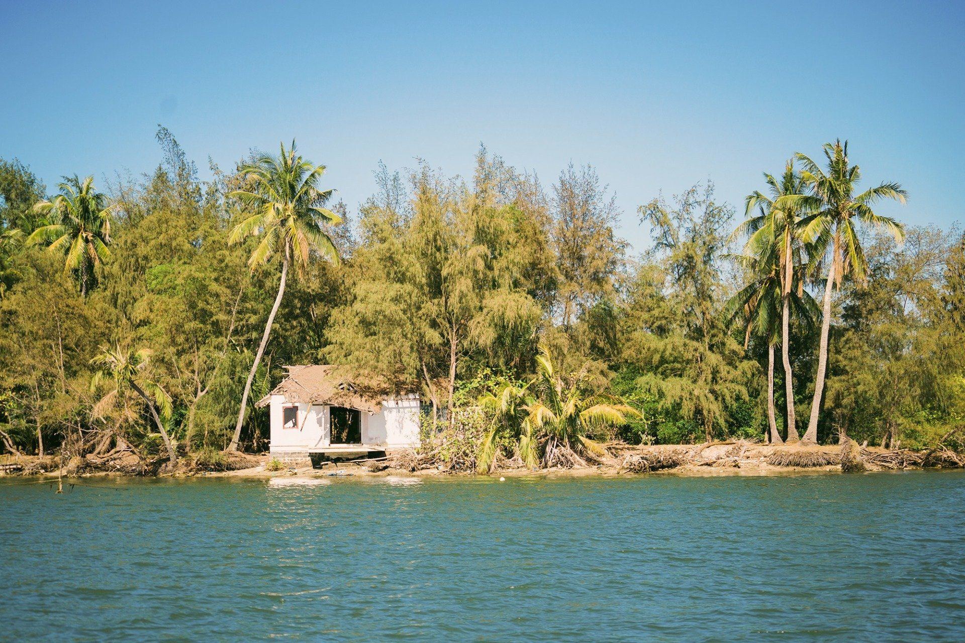 A small white house sits on a small island in the middle of a body of water surrounded by palm trees.