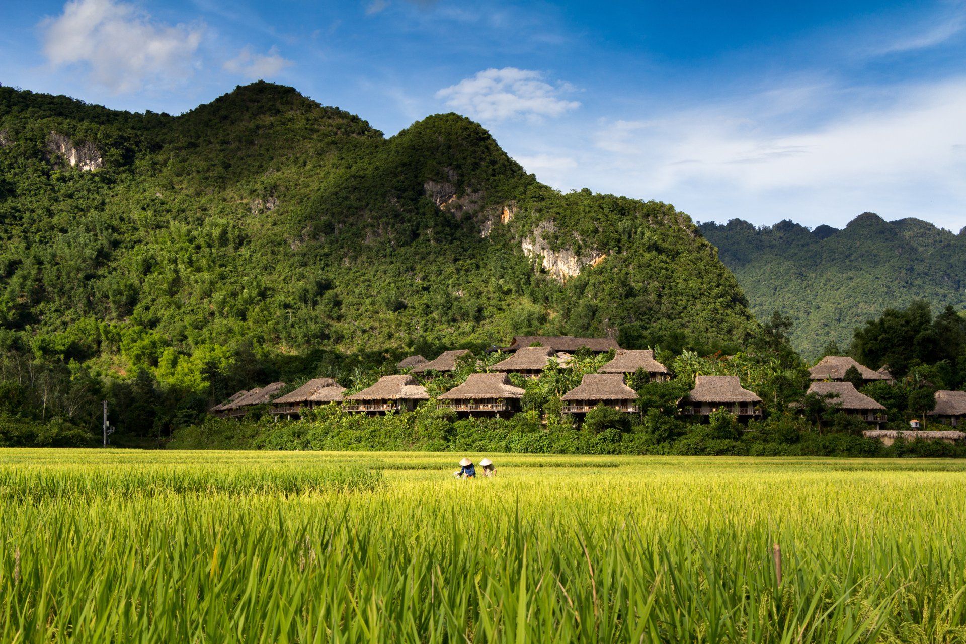 A lush green field with houses in the background and mountains in the background