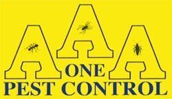 AAA One Pest Control—Exterminators on the Fraser Coast AAA One Pest Control—Exterminators on the Fraser Coast