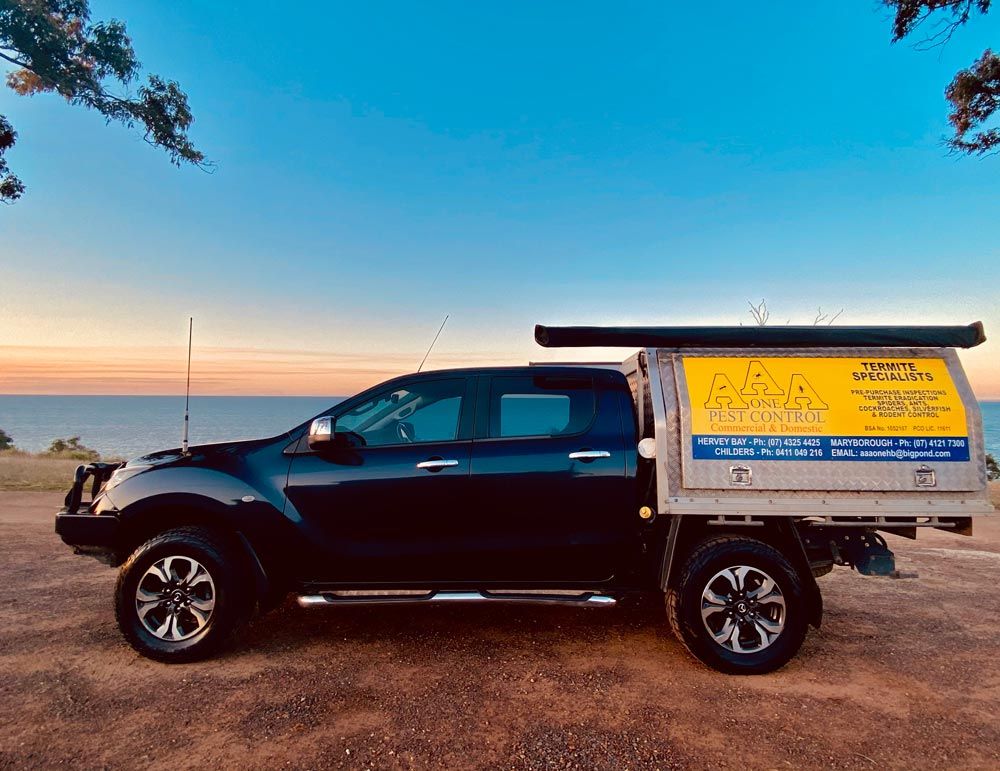 Car With Signage — AAA One Pest Control form About Us in Fraser Coast, QLD Car With Signage — AAA One Pest Control form About Us in Fraser Coast, QLD