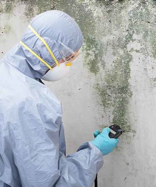 Pest Control Worker Standing — AAA One Pest Control form End-of-Lease Pest Inspections in Fraser Coast, QLD Pest Control Worker Standing — AAA One Pest Control form End-of-Lease Pest Inspections in Fraser Coast, QLD