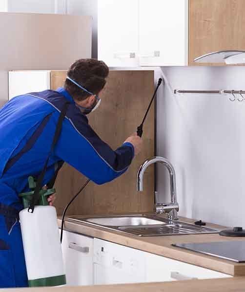 Worker In Uniform Spraying Pesticide — AAA One Pest Control form Pest Inspections in Fraser Coast, QLD Worker In Uniform Spraying Pesticide — AAA One Pest Control form Pest Inspections in Fraser Coast, QLD