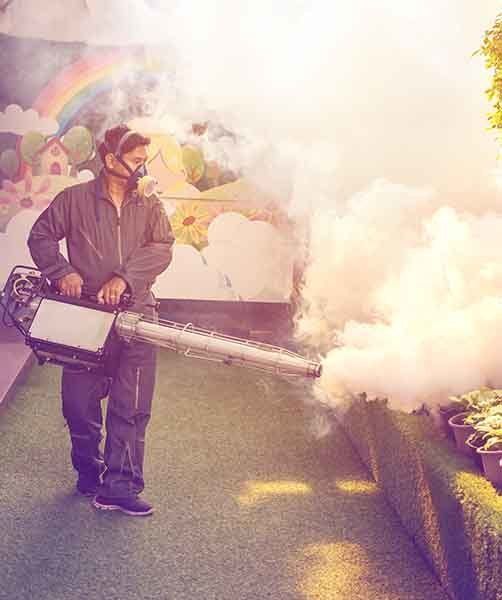 Man's Fogging To Eliminate Mosquito — AAA One Pest Control form Termite Control in Fraser Coast, QLD Man's Fogging To Eliminate Mosquito — AAA One Pest Control form Termite Control in Fraser Coast, QLD