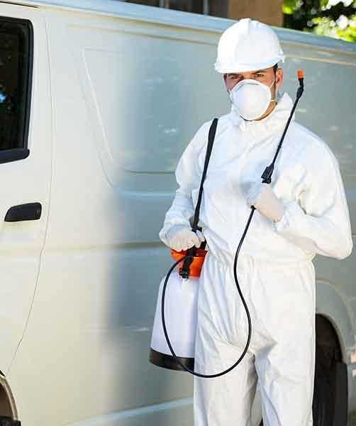 Pest Control Man Standing — AAA One Pest Control form About Us in Fraser Coast, QLD Pest Control Man Standing — AAA One Pest Control form About Us in Fraser Coast, QLD
