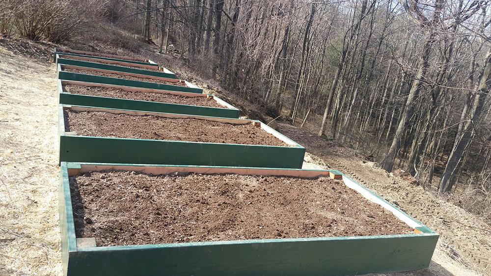 Raised garden beds with fresh soil on a sloped hillside in a wooded area