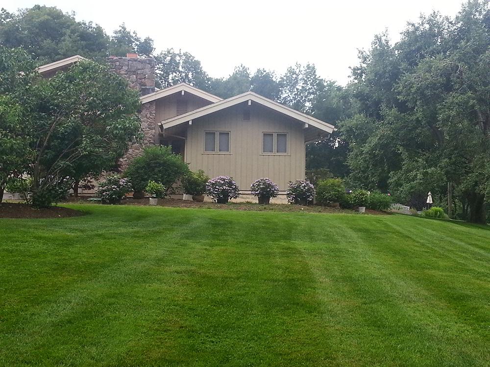 House with beige siding on a green lawn, surrounded by trees and shrubs
