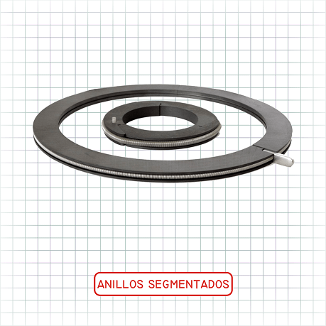 Anillos segmentados