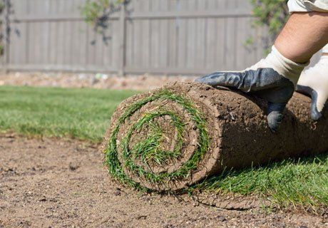 Turf suppliers