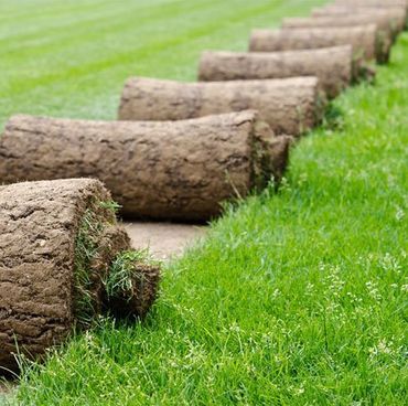 Grass surface