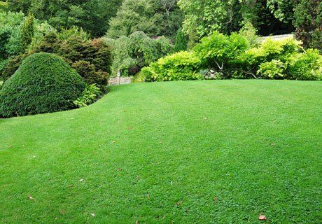 turfing