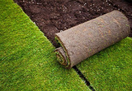 turf laying