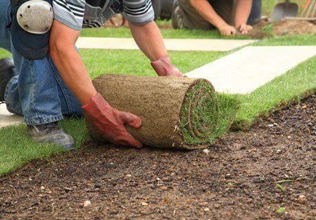 turfing service