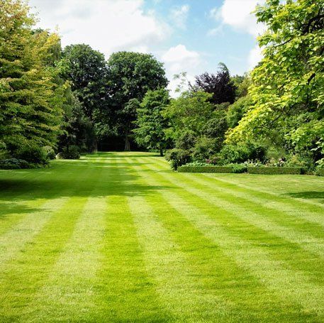 lawn